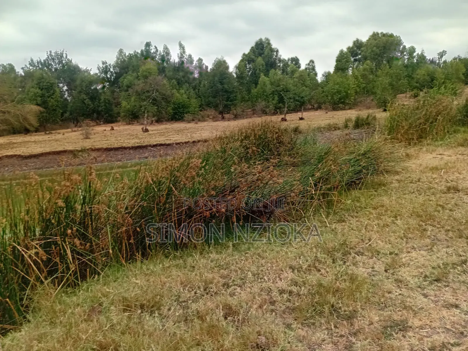 Prime Land 7 Acres for Sale in Matuu Machakos in Kibiku