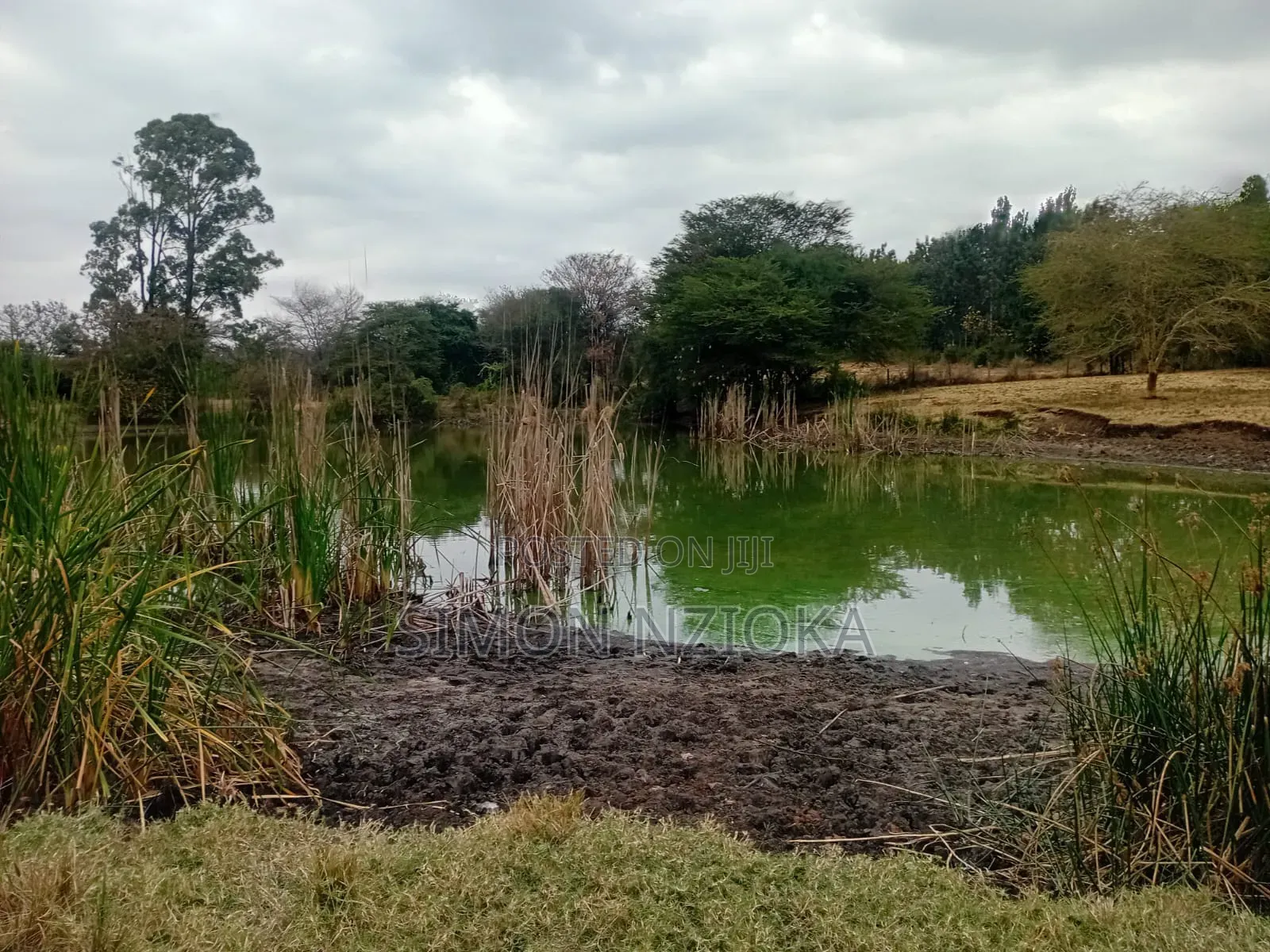 Prime Land 7 Acres for Sale in Matuu Machakos in Kibiku