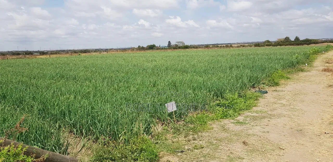 10acres at Isinya in Isinya