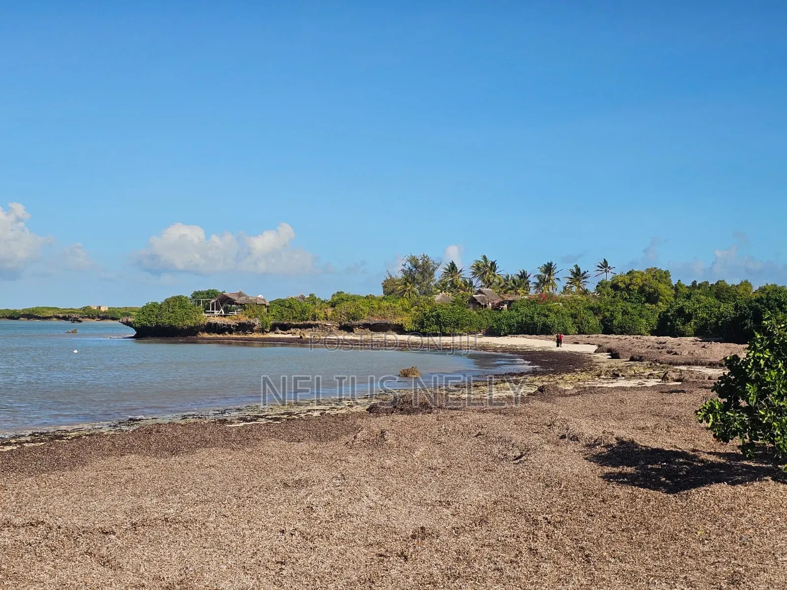 Beach Front Property Matsangoni Kilifi in Kilifi North