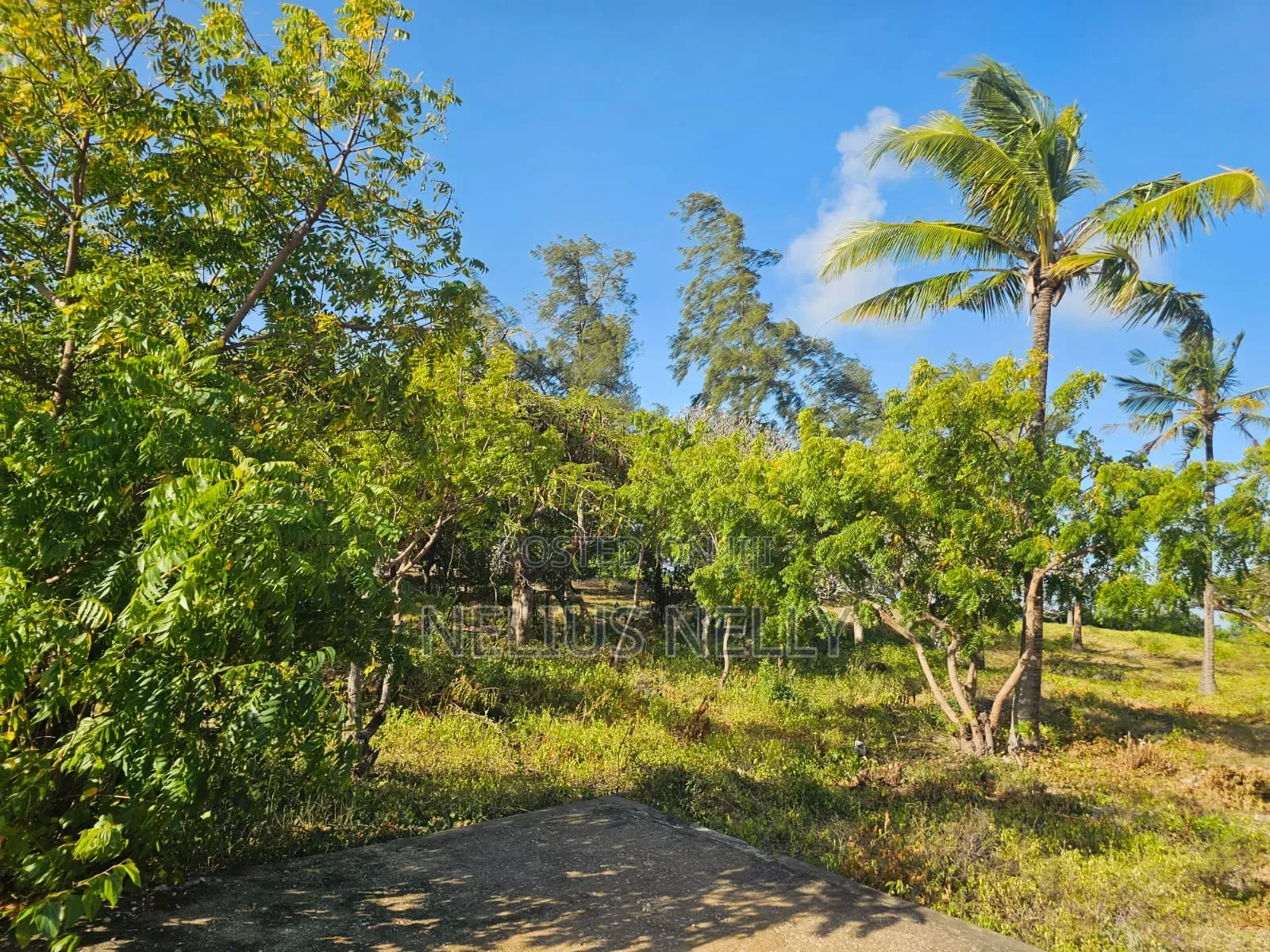 Beach Front Property Matsangoni Kilifi in Kilifi North