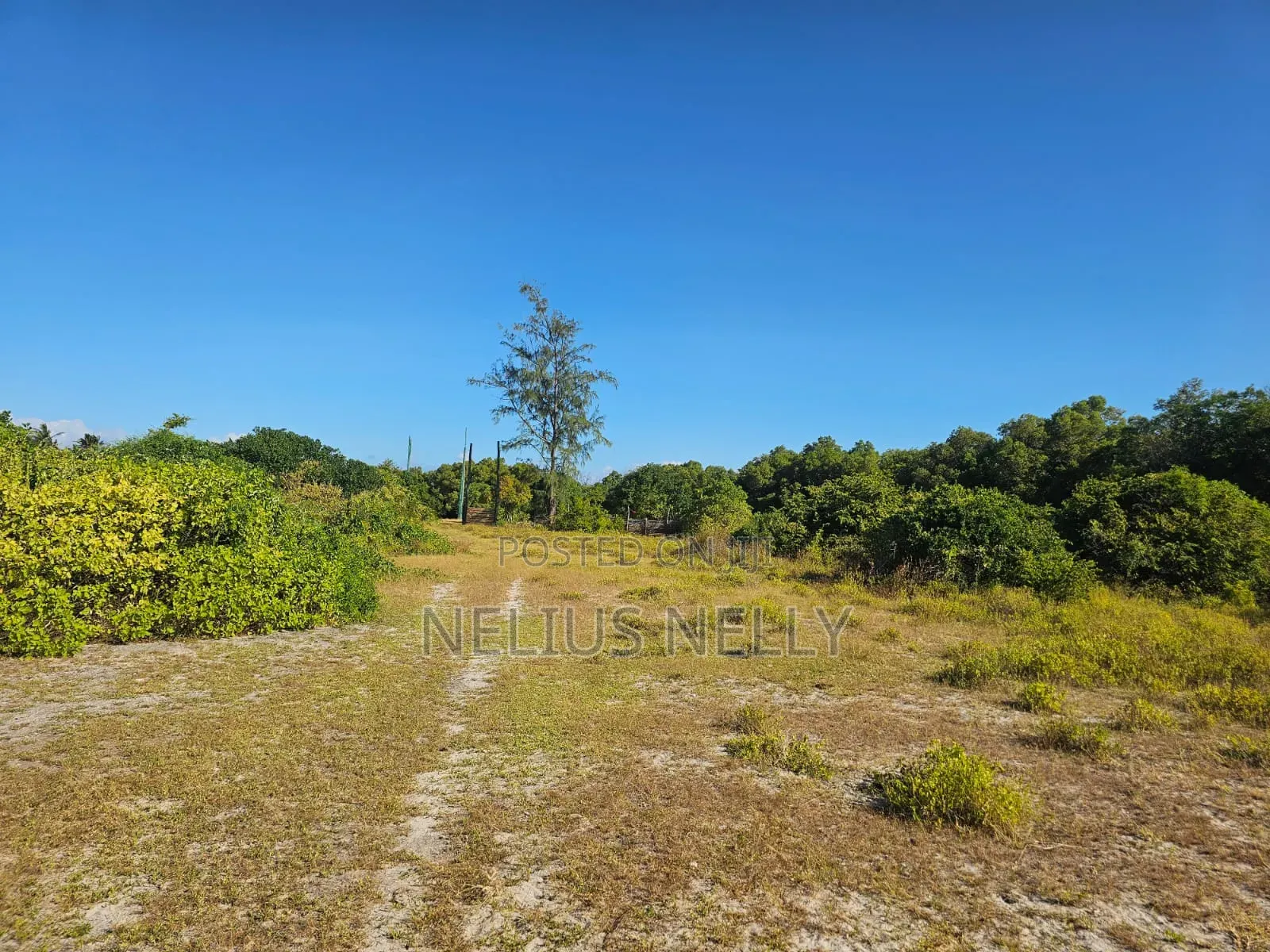 Beach Front Property Matsangoni Kilifi in Kilifi North