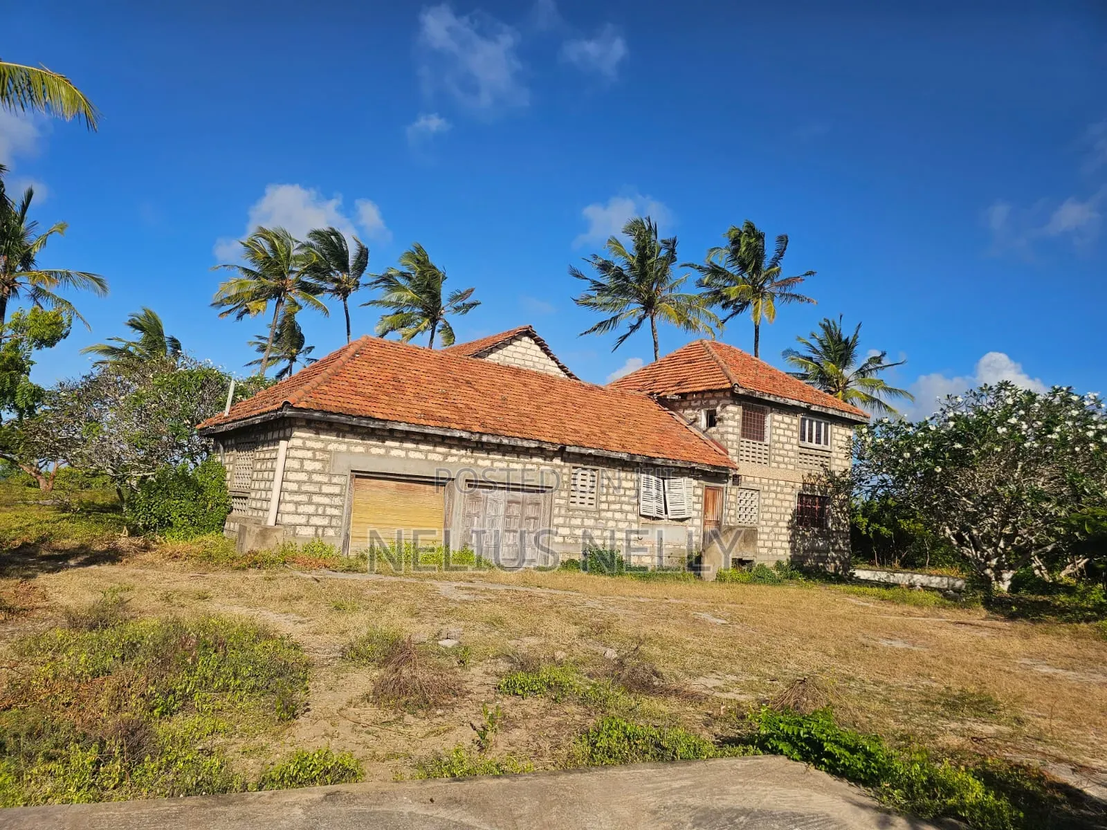 Beach Front Property Matsangoni Kilifi in Kilifi North