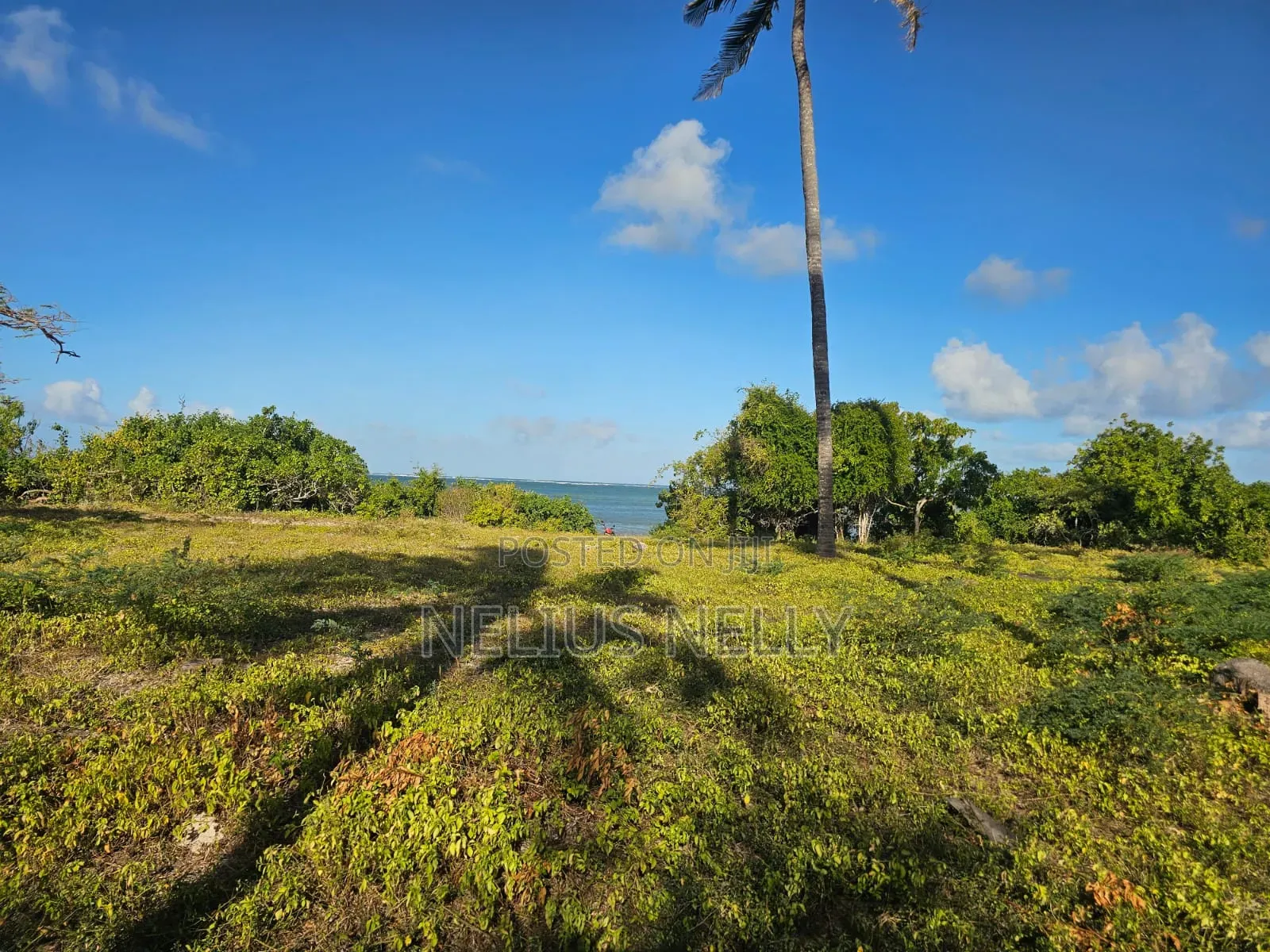 Beach Front Property Matsangoni Kilifi in Kilifi North