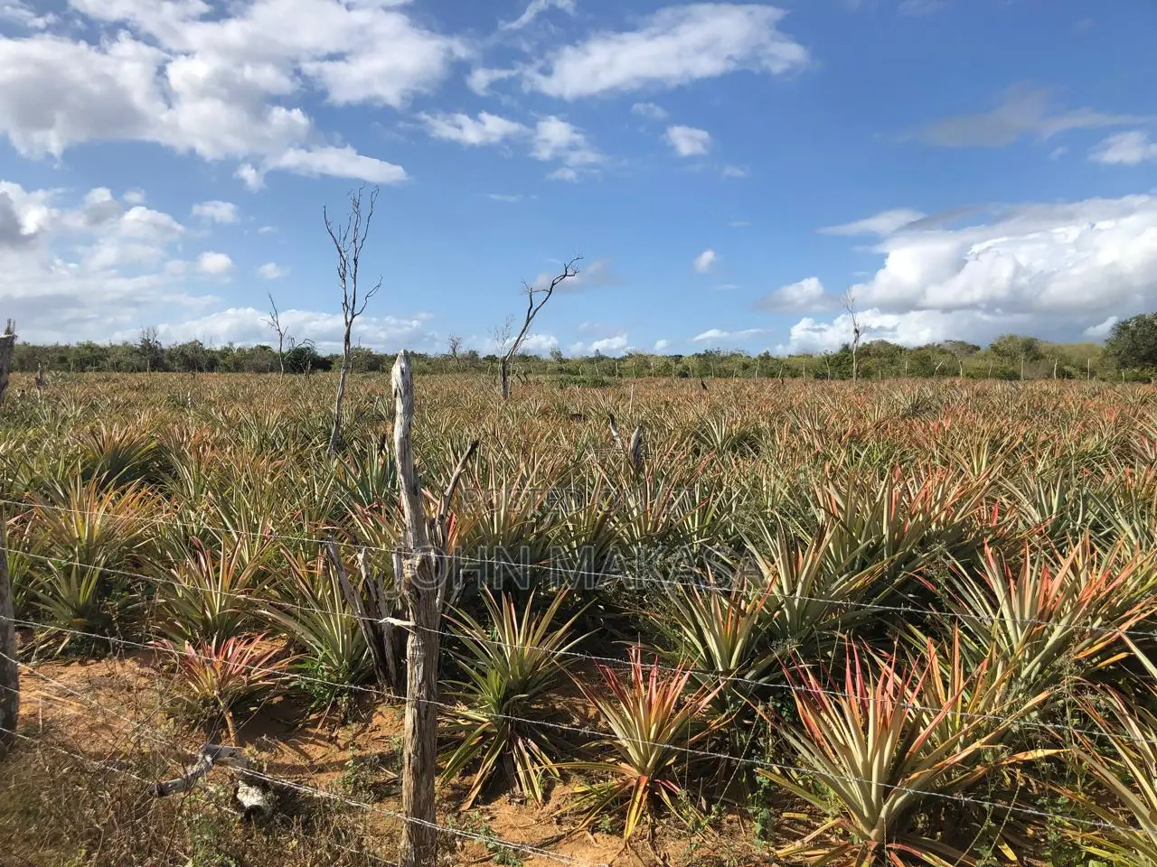 Per Acre in Malindi in Adu