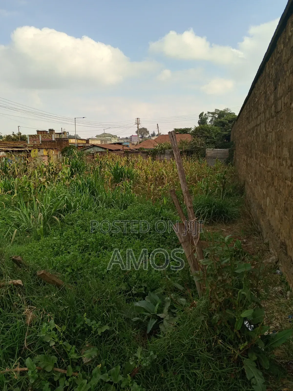 Prime Free Hold Town Plot Ideal for Apartment Kwambira Town Limuru in Limuru CBD