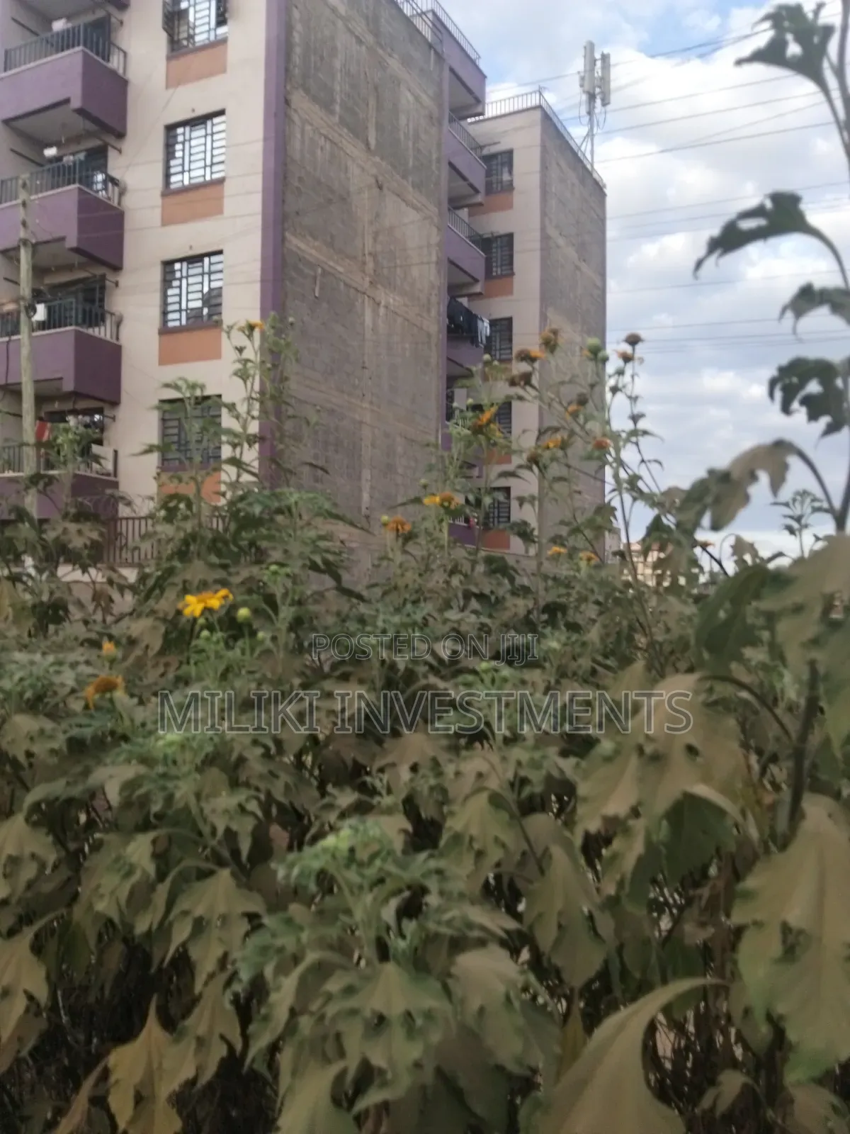 40 by 80 Ft Plots on Sale at Thika-Makongeni -Nanasi Esstate in Makongeni / Thika