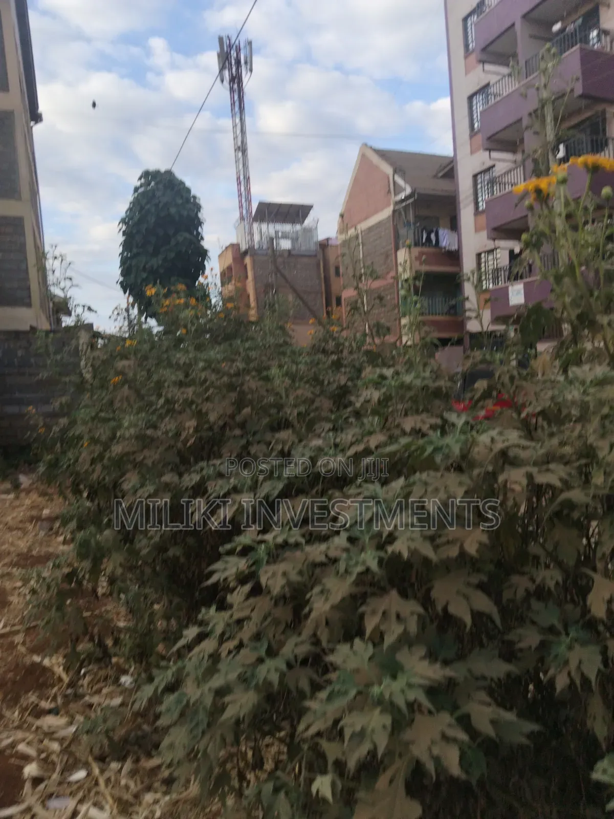 40 by 80 Ft Plots on Sale at Thika-Makongeni -Nanasi Esstate in Makongeni / Thika