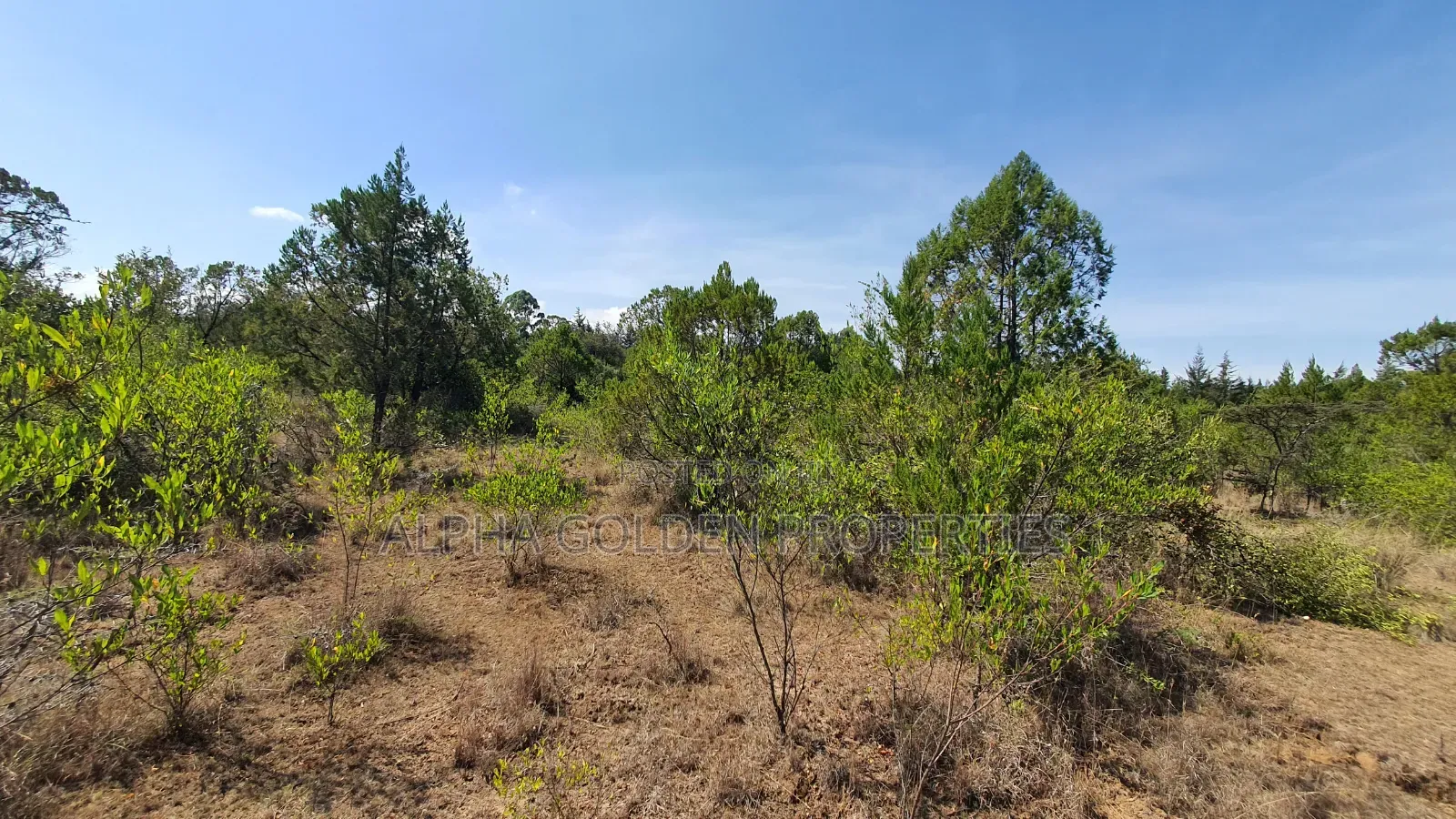 2 Acres in Nanyuki Airstrip Area in Nanyuki