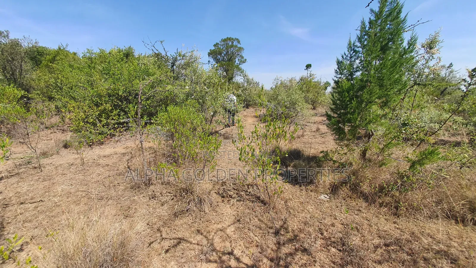 2 Acres in Nanyuki Airstrip Area in Nanyuki