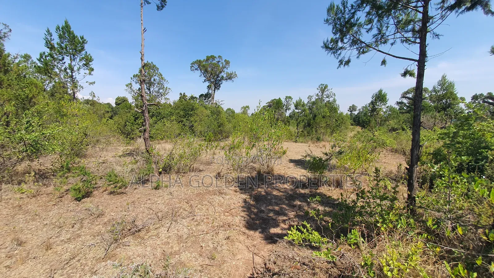 2 Acres in Nanyuki Airstrip Area in Nanyuki