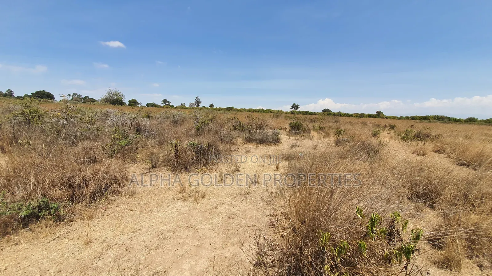 16 Acres on Tarmac Narumoru in Nanyuki