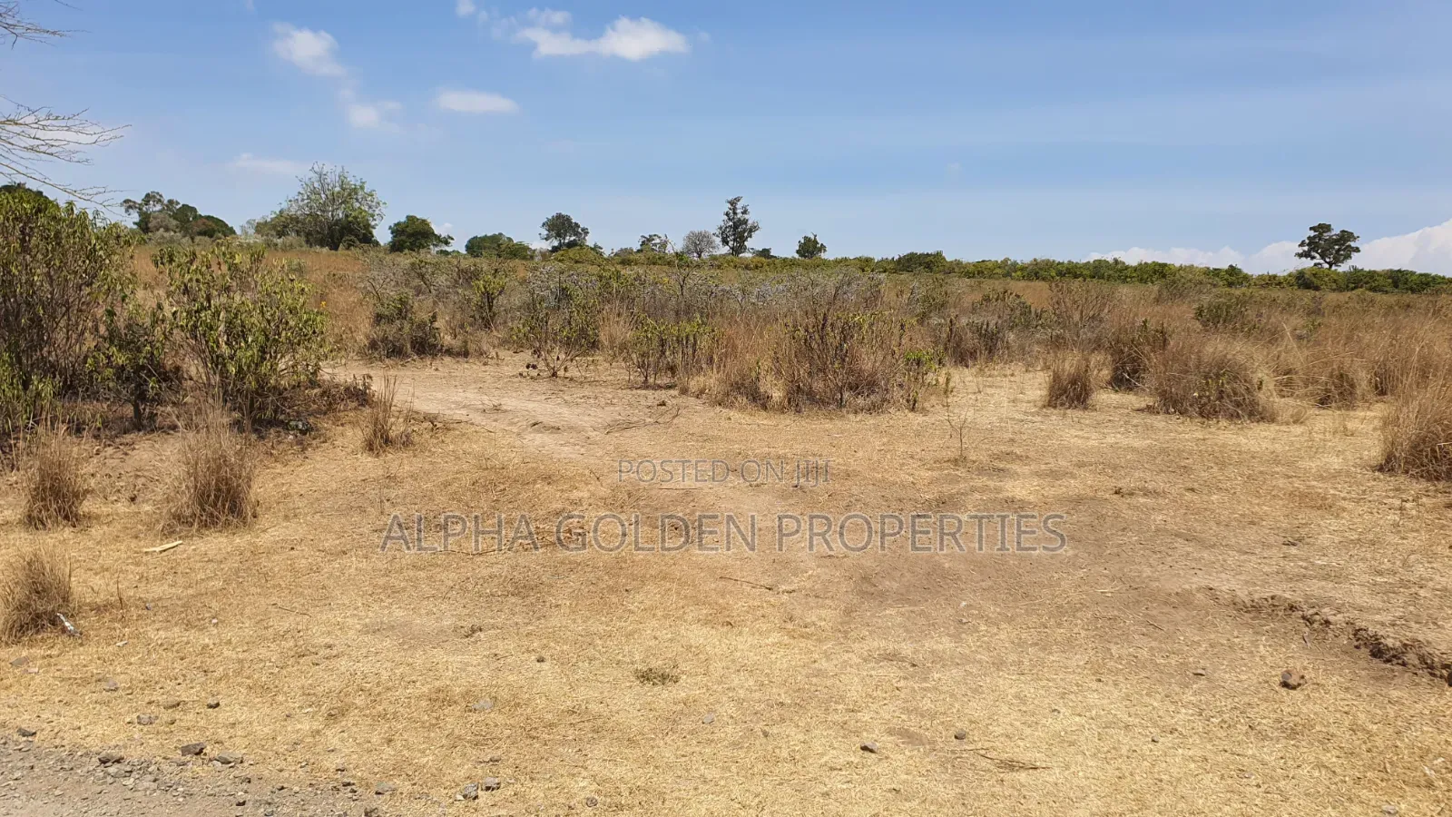 16 Acres on Tarmac Narumoru in Nanyuki