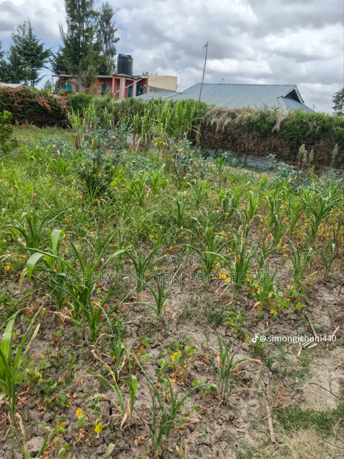 1/4 Plot in Nanyuki in Nanyuki