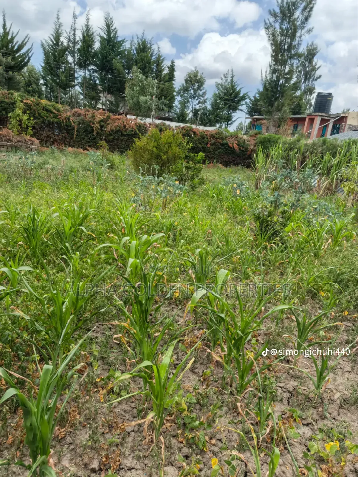 1/4 Plot in Nanyuki in Nanyuki