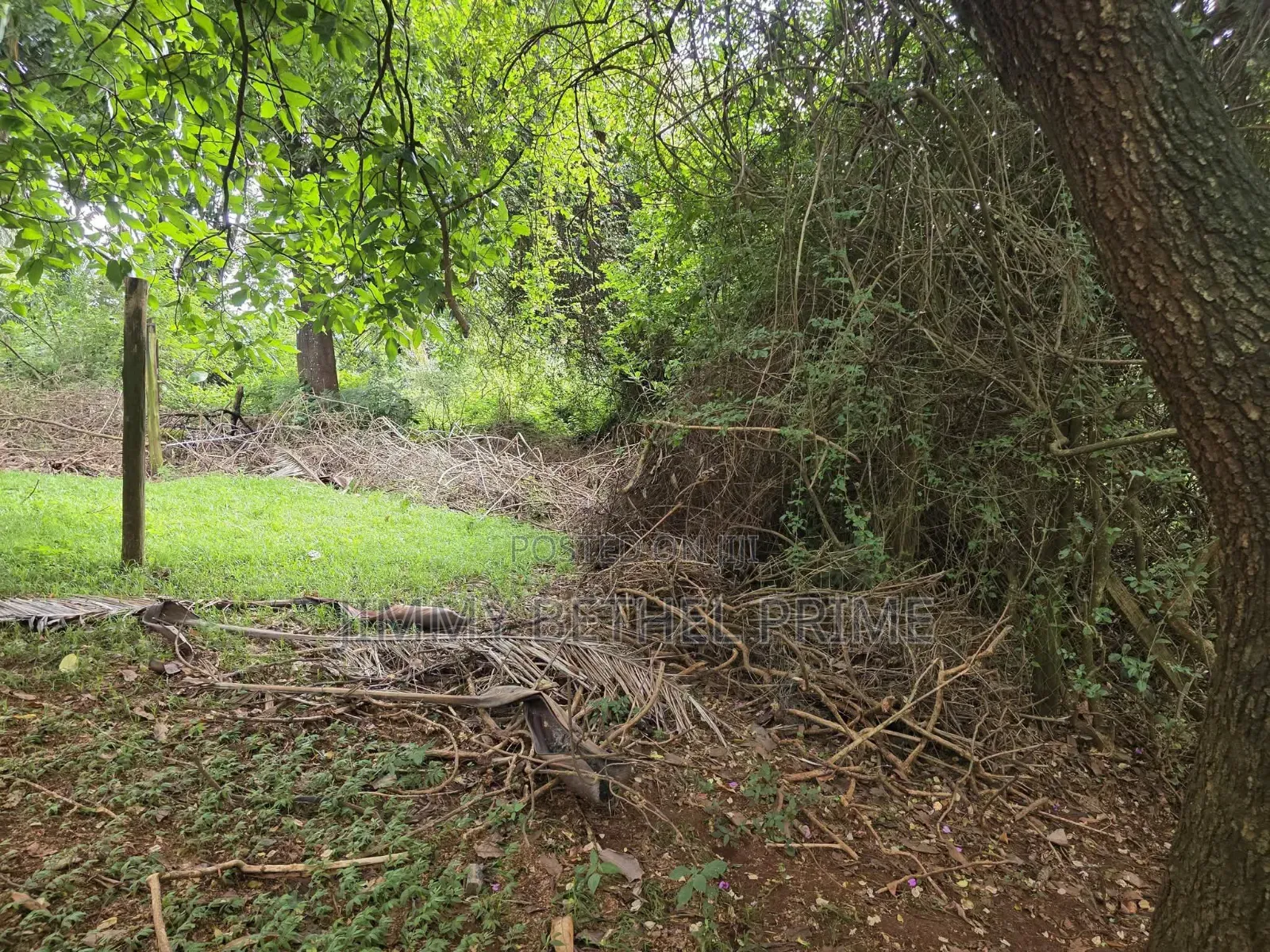 Prime 1 Acre for Rhapta Rd in Raphta Road Area