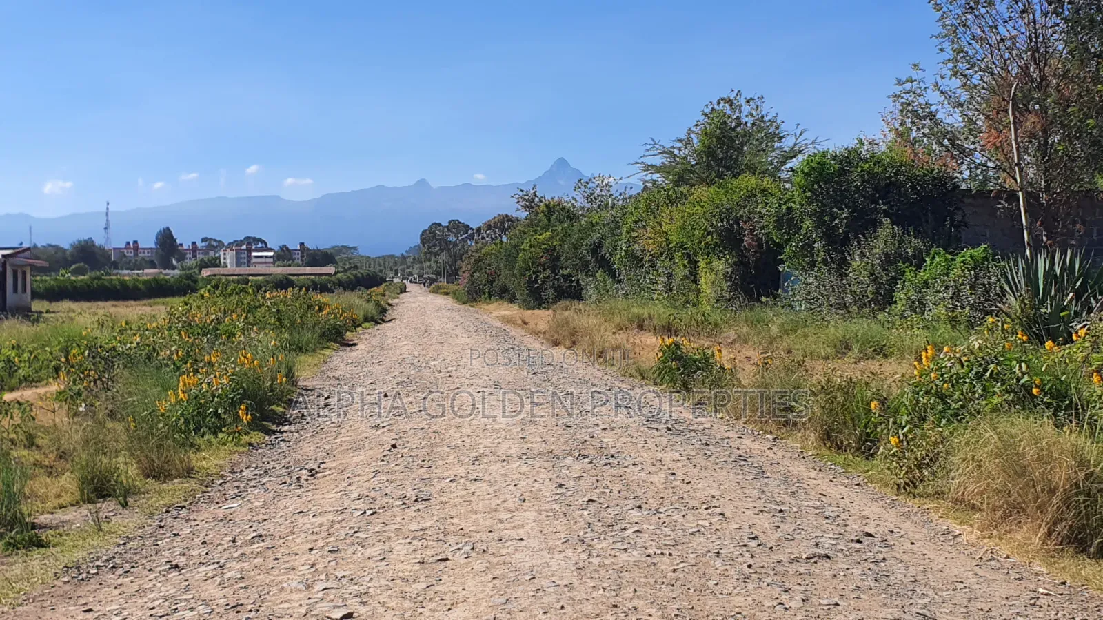 Plot for Sale in Runda Nanyuki in Nanyuki