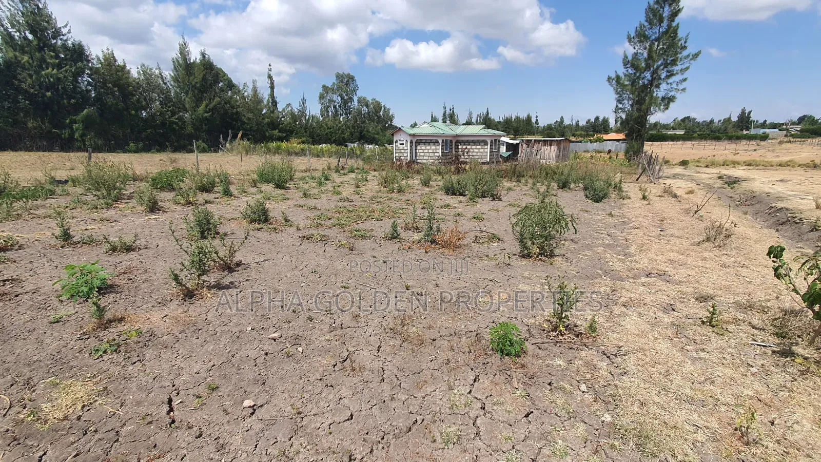 Plot for Sale in Runda Nanyuki in Nanyuki