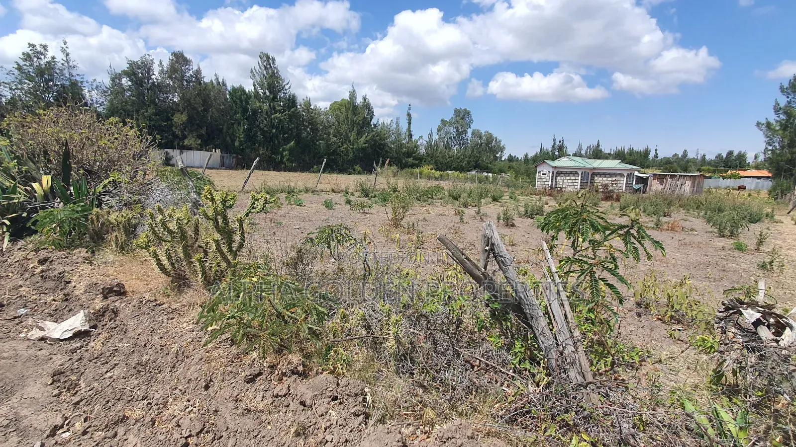 Plot for Sale in Runda Nanyuki in Nanyuki
