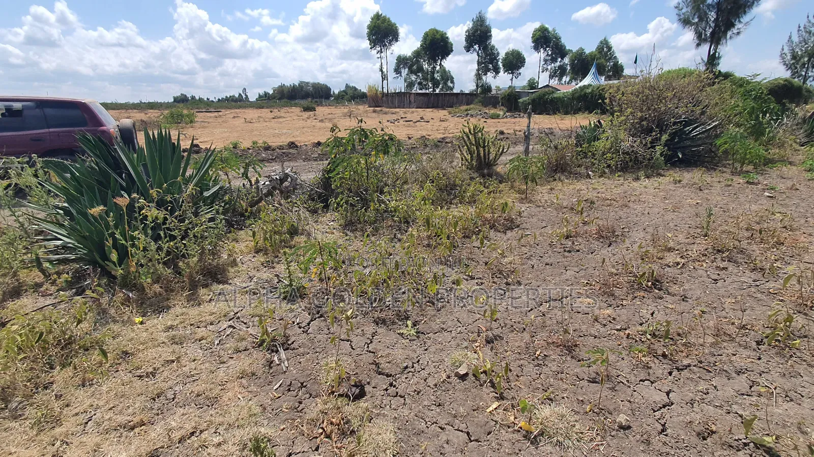 Plot for Sale in Runda Nanyuki in Nanyuki