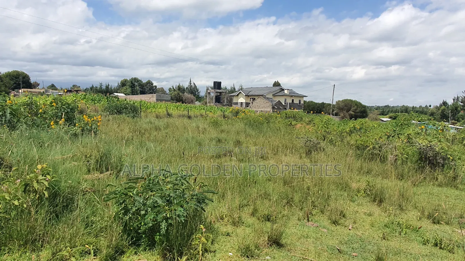 1/2 Acre on Sale Near Highway in Nanyuki