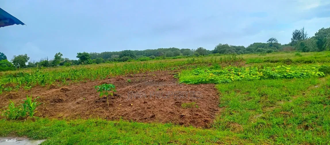 1/4 Acre (100ft by 100ft) Prime Plot for Sale in MNARANI, Kilifi in Mnarani