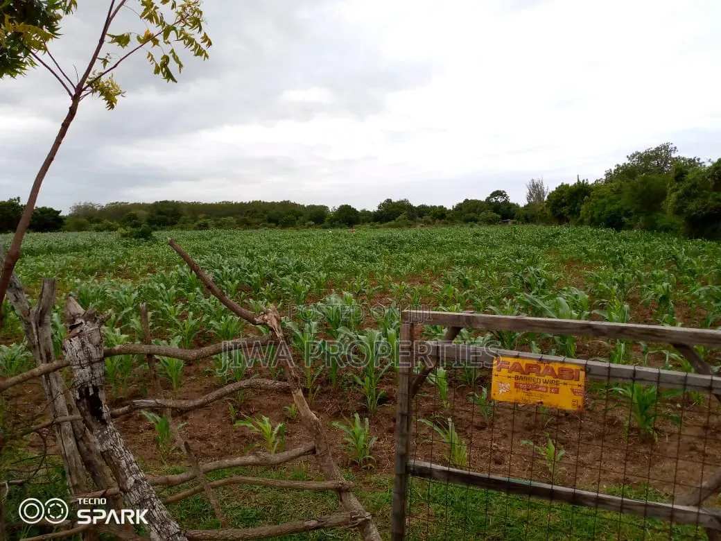 1/4 Acre (100ft by 100ft) Prime Plot for Sale in MNARANI, Kilifi in Mnarani