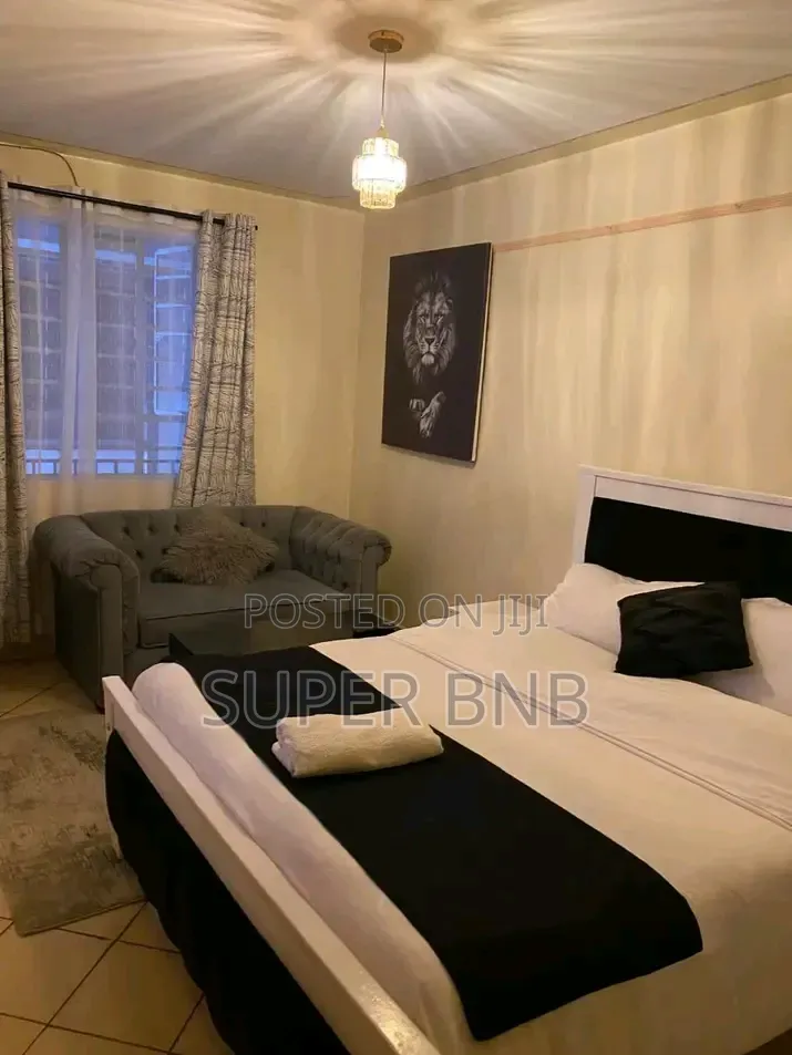 Fully Furnished Studio in South B, Nairobi. in South B
