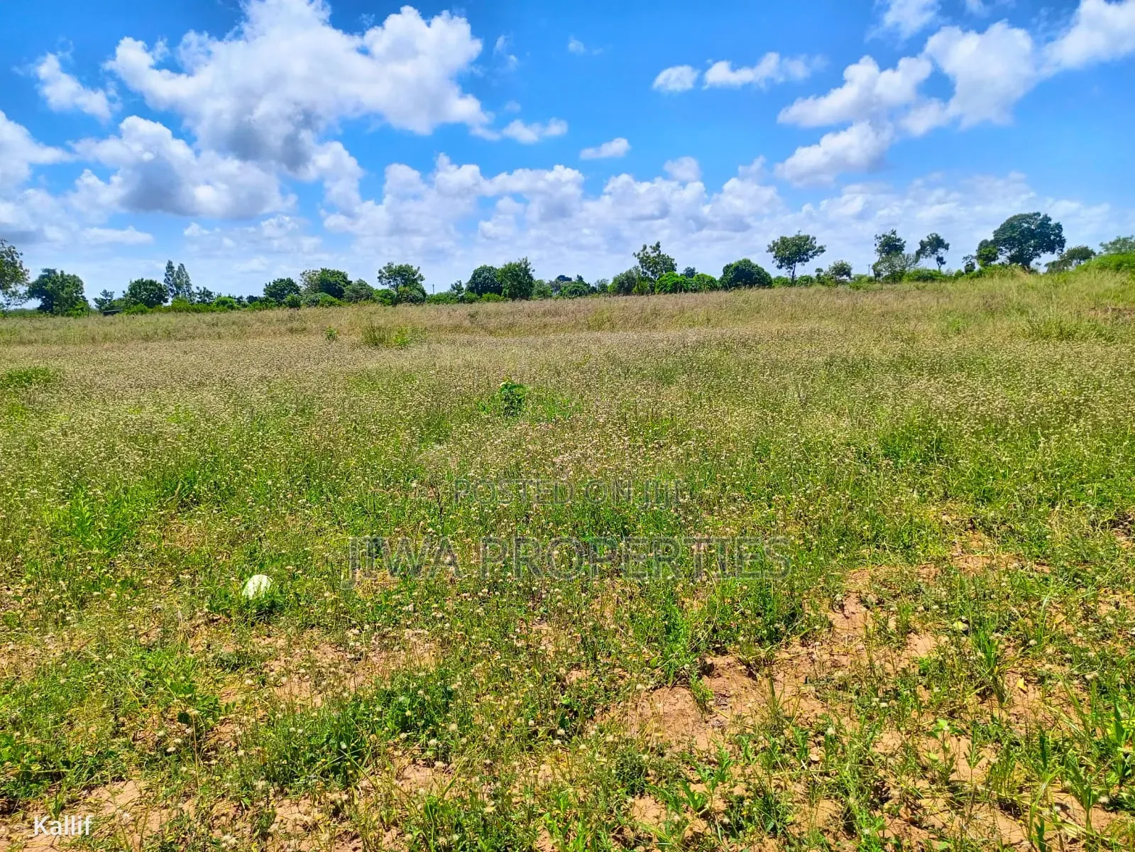 1/4 Acre (100ft by 100ft) Prime Plot for Sale in MNARANI, Kilifi in Mnarani