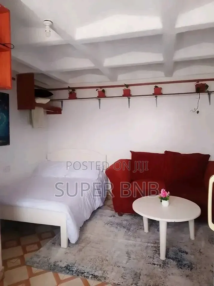 Airbnb in Riamineli Apartments, Waiyaki Way (87 Junction in Muthiga