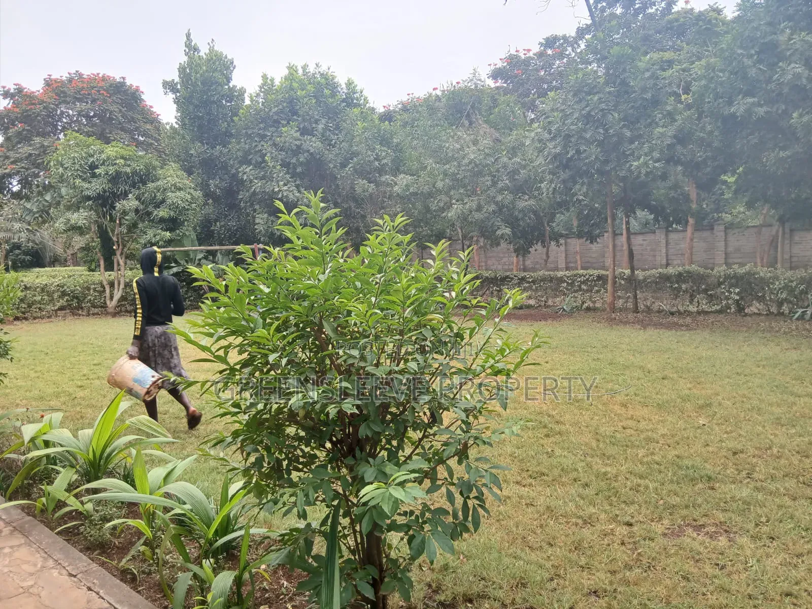 4bdrm House in Hardly, Karen C for rent in Karen C