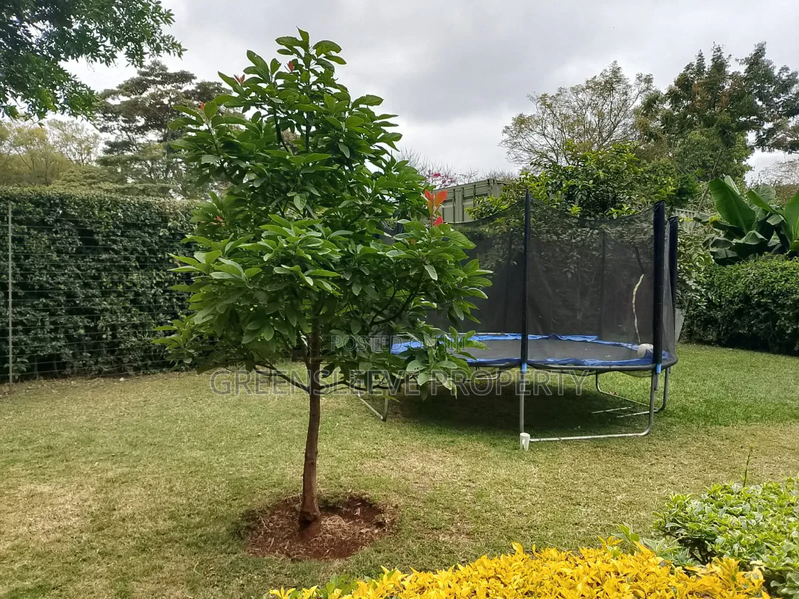 4bdrm House in Hardly, Karen C for rent in Karen C