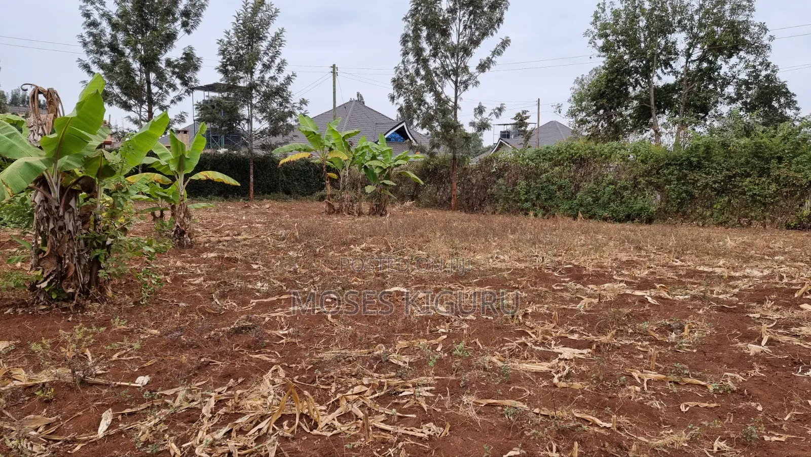 Kenol Prime 40x80 Plot in Makuyu