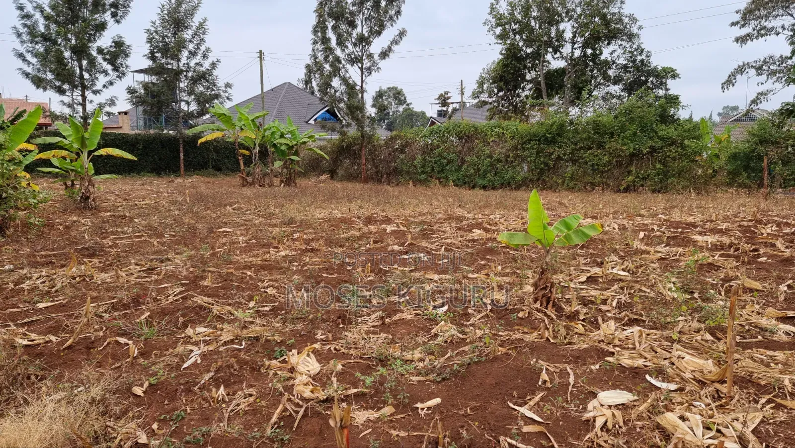 Kenol Prime 40x80 Plot in Makuyu