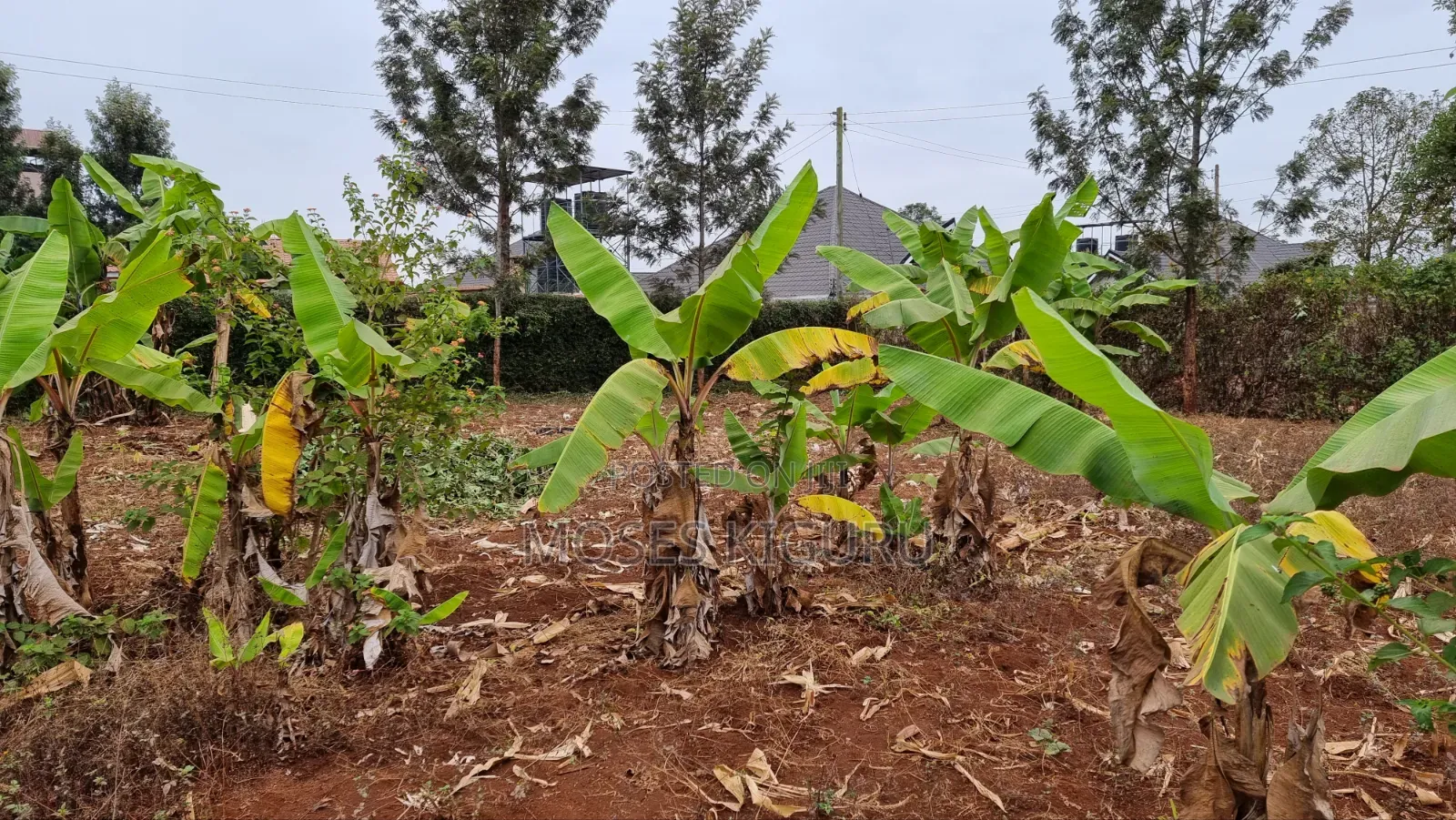 Kenol Prime 40x80 Plot in Makuyu
