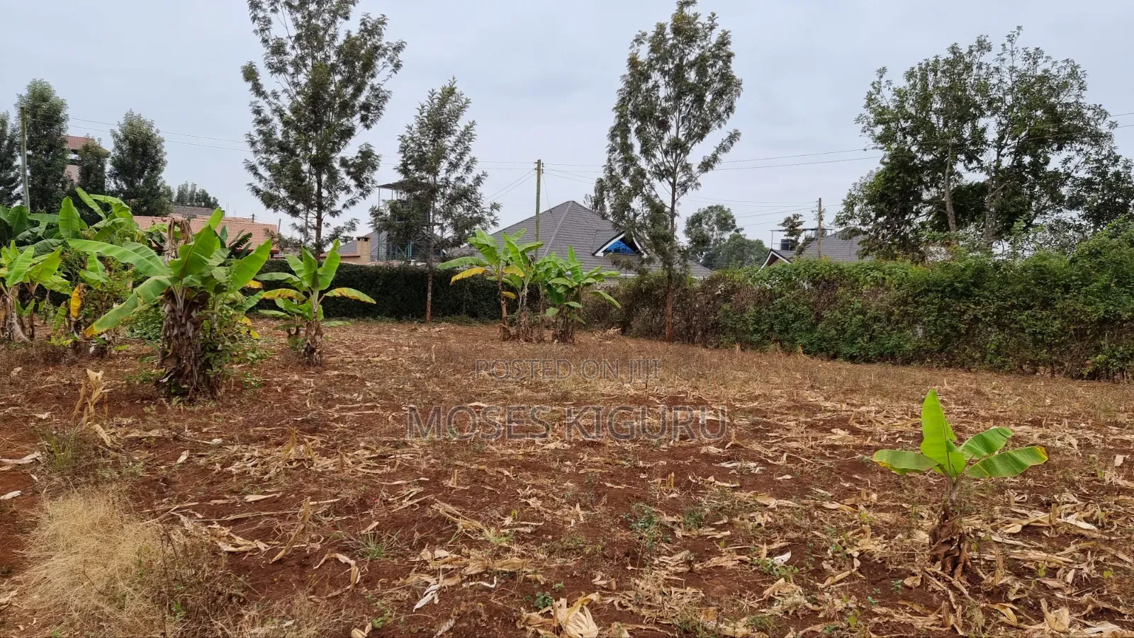 Kenol Prime 40x80 Plot in Makuyu