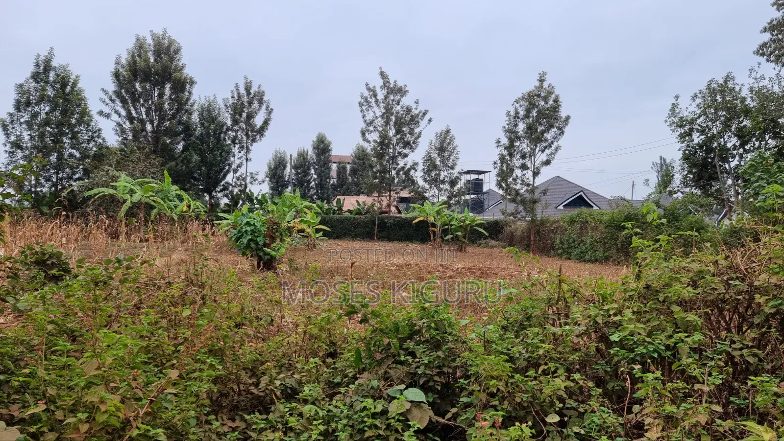 Kenol Prime 40x80 Plot in Makuyu