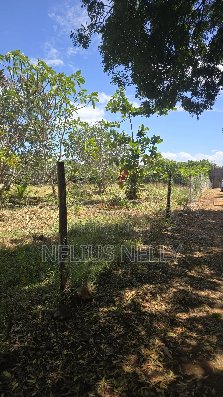 2nd Row Beach Property Kilifi Bofa 1acre Land in Kilifi North