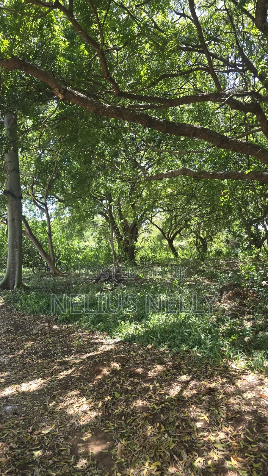 2nd Row Beach Property Kilifi Bofa 1acre Land in Kilifi North