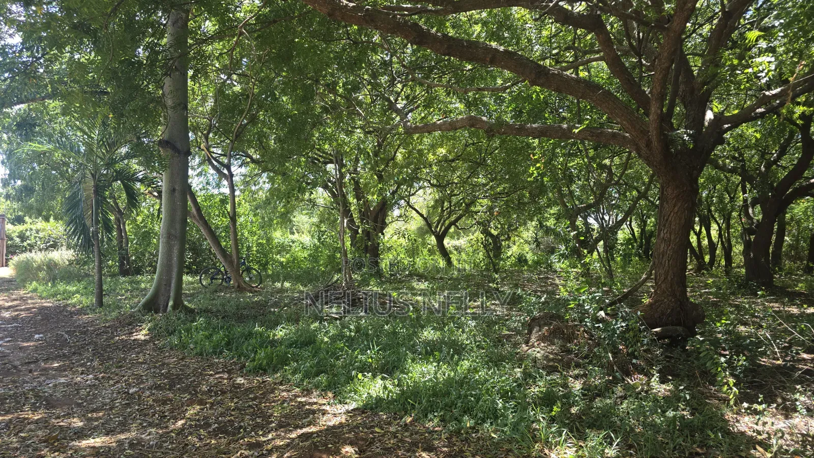 2nd Row Beach Property Kilifi Bofa 1acre Land in Kilifi North