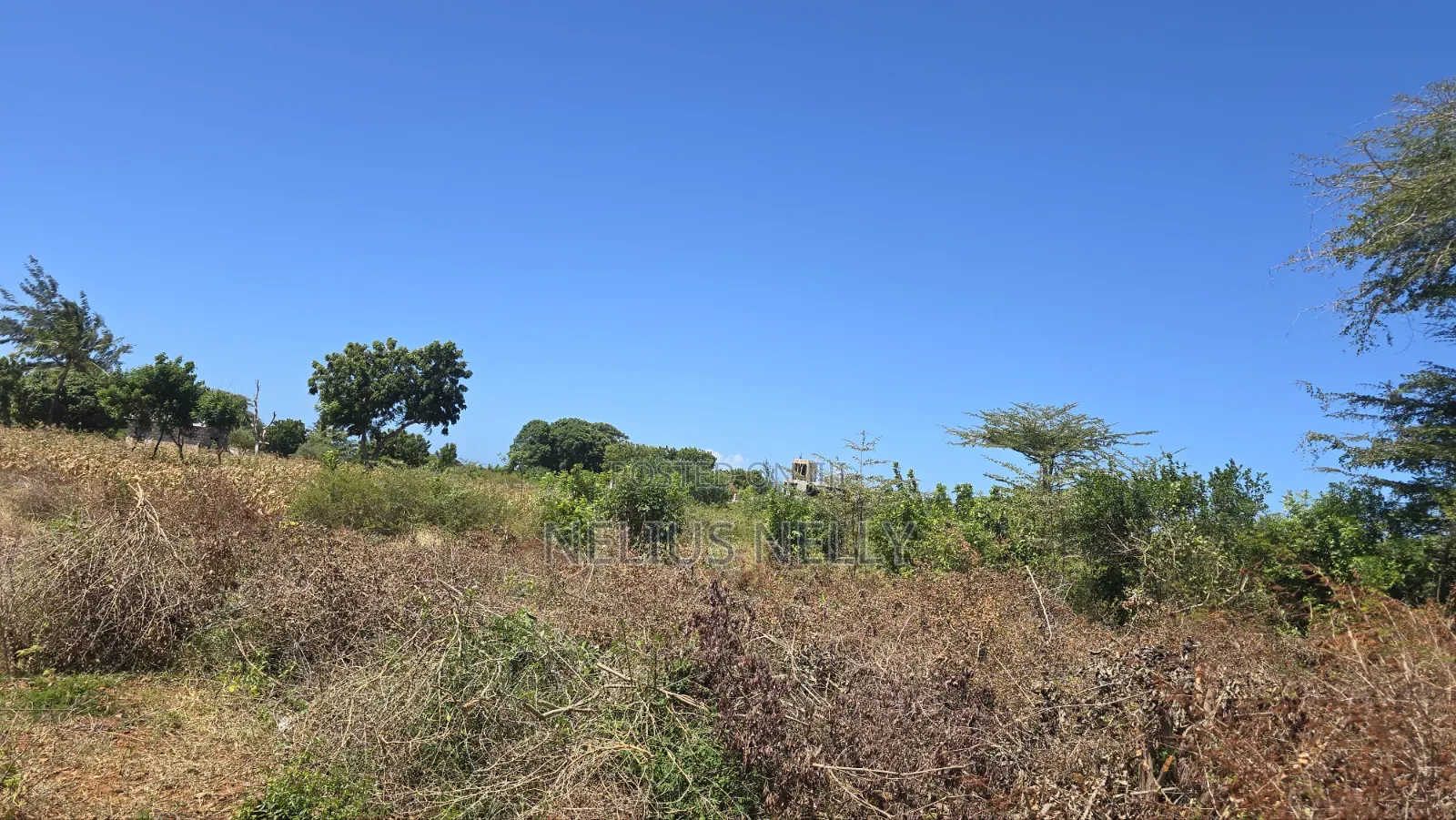 Bofa 1/2 Acre for Sale in Kilifi North