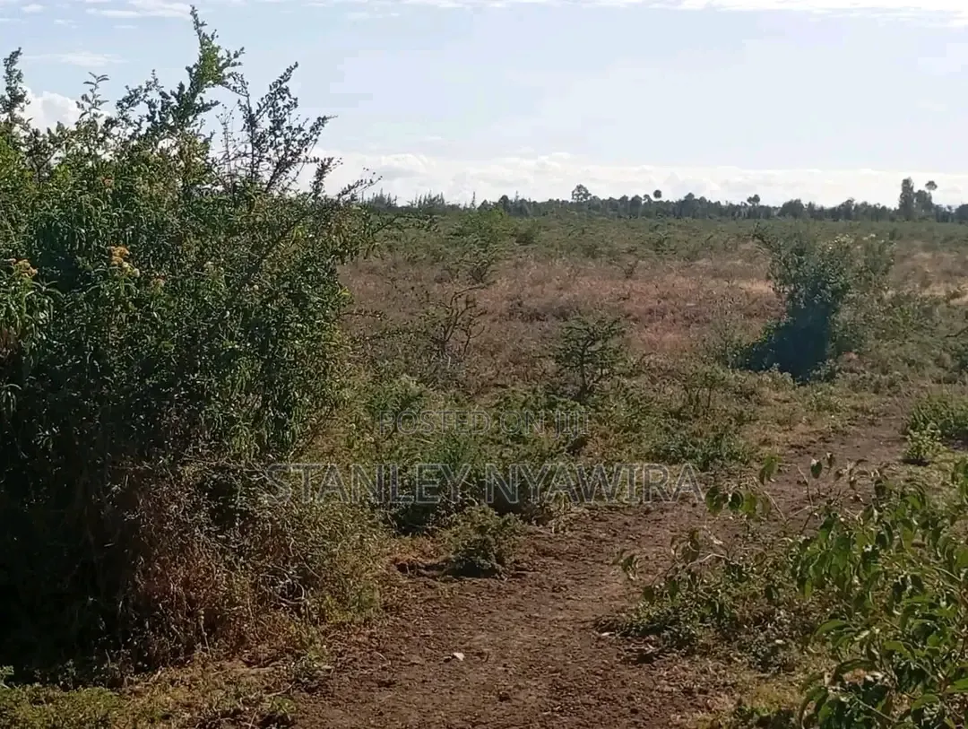 10 Acreas Nanyuki Mwireri in Nanyuki