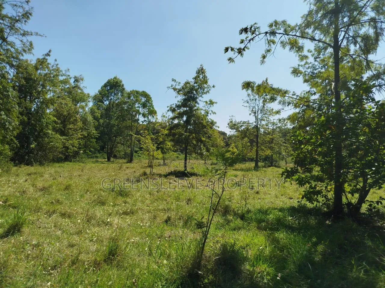 Land for Sale in Karen C