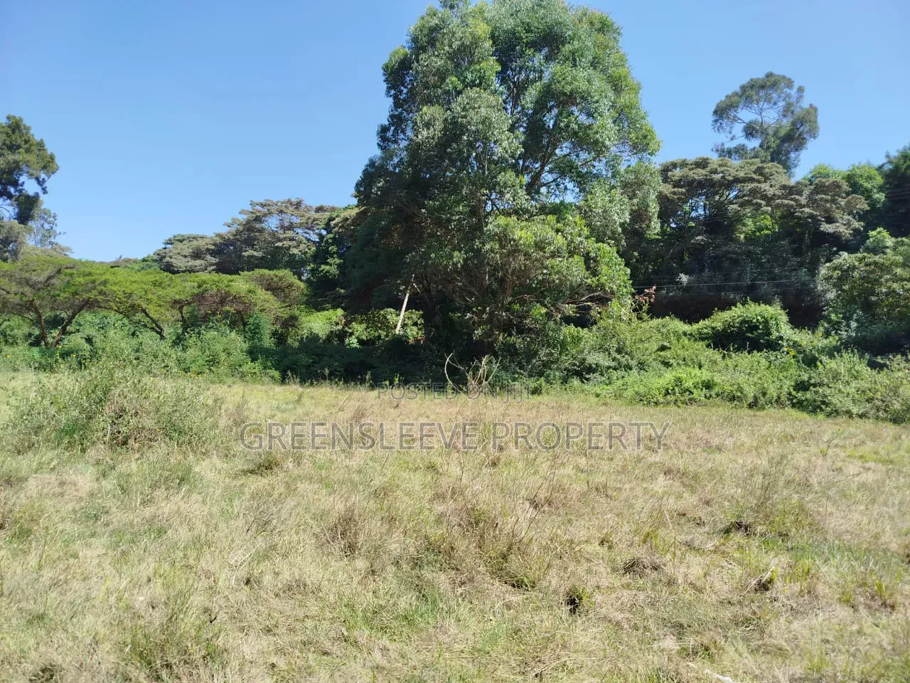Land for Sale in Karen C