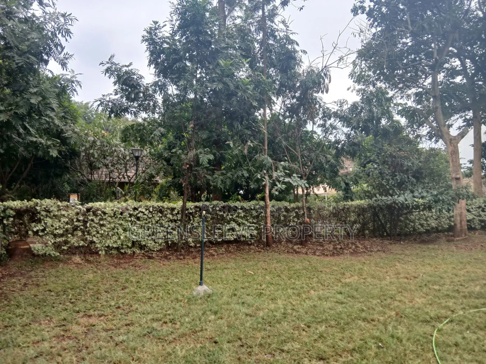 5bdrm House in Runda for rent in Runda