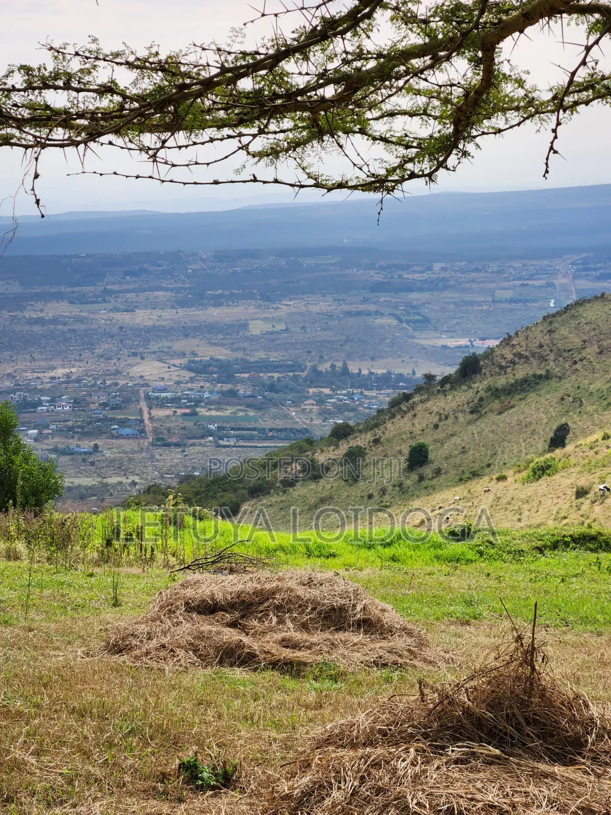Prime Residential 1⁄4 Acre Ngong-Lemiso in Kibiku
