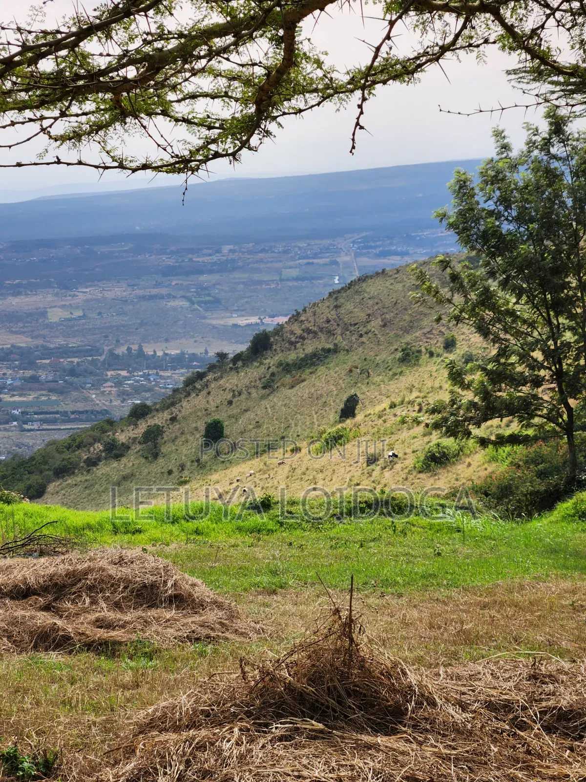 Prime Residential 1⁄4 Acre Ngong-Lemiso in Kibiku
