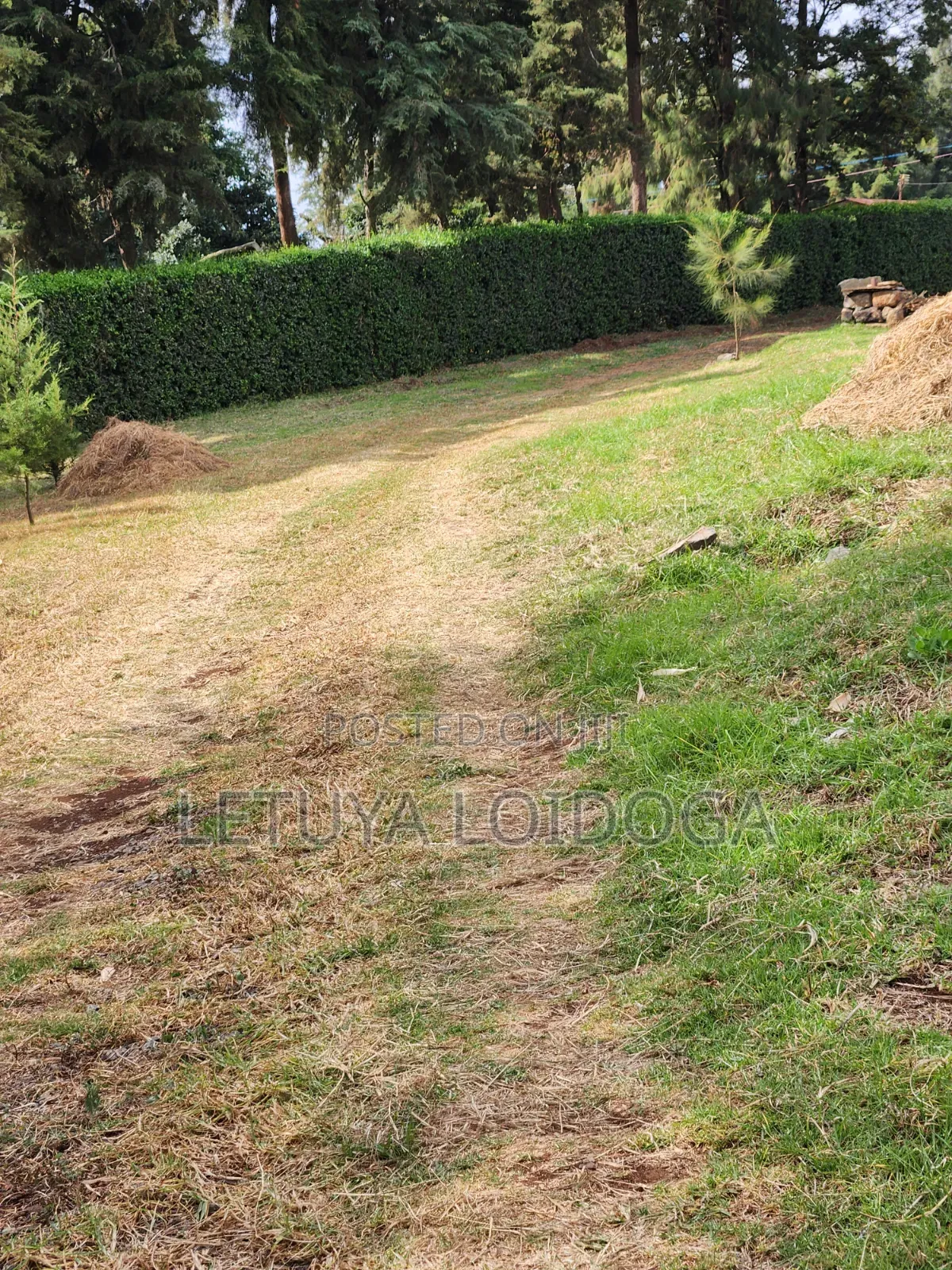 Prime Residential 1⁄4 Acre Ngong-Lemiso in Kibiku