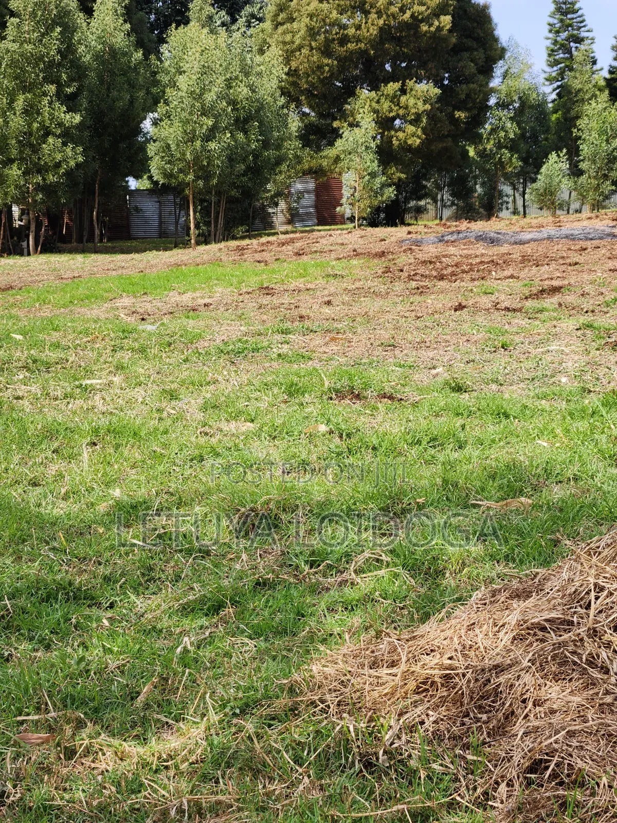 Prime Residential 1⁄4 Acre Ngong-Lemiso in Kibiku