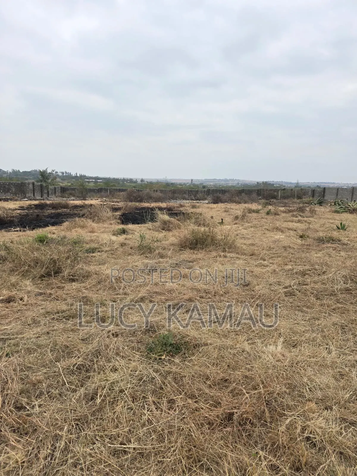 1⁄8 Acre Plots in Lukenya 1.5km Off Tarmac in Lukenya